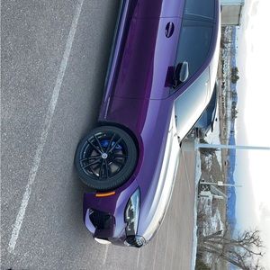 Meet your Posher, Lilly